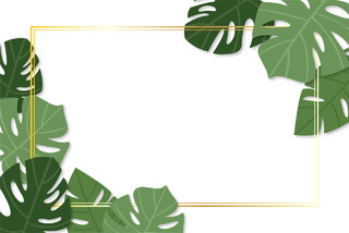 棕榈叶热带植物树叶边框素材